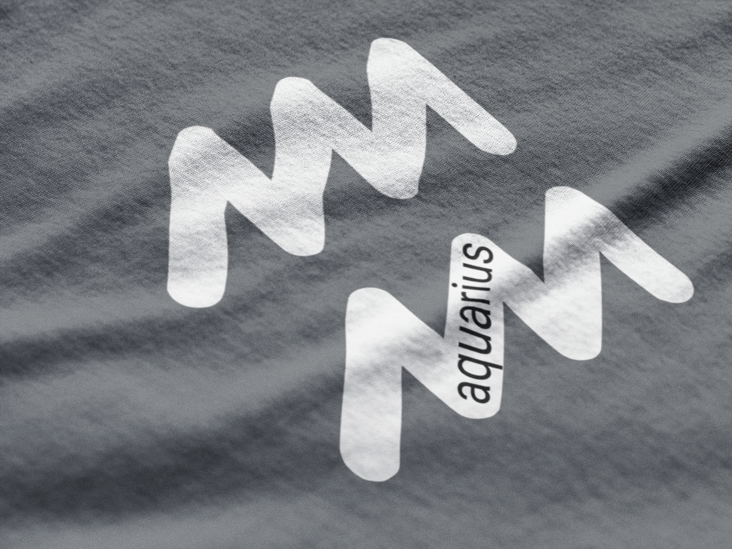 White 'Aquarius' logo on a textured gray background