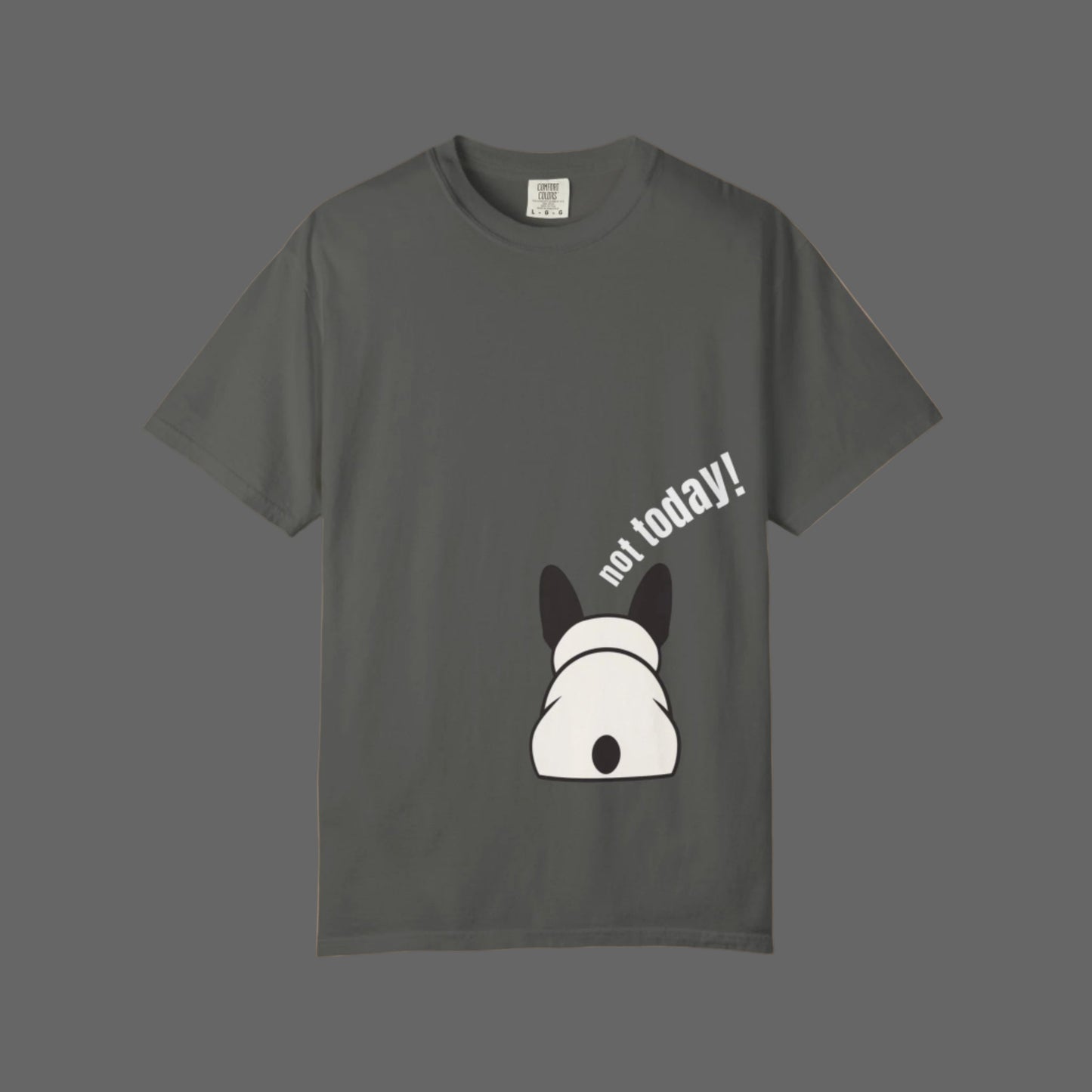 Gray t-shirt with a dog graphic and 'not today!' text on a white background