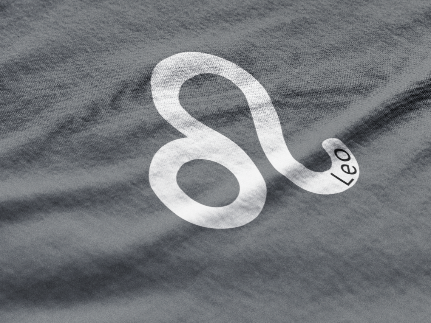 Silver Leo zodiac sign on a textured gray background