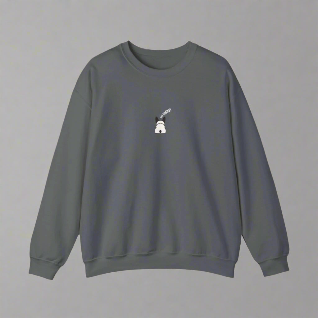 Gray sweatshirt with a small white graphic on a white background