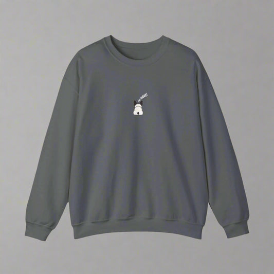 Gray sweatshirt with a small white graphic on a white background
