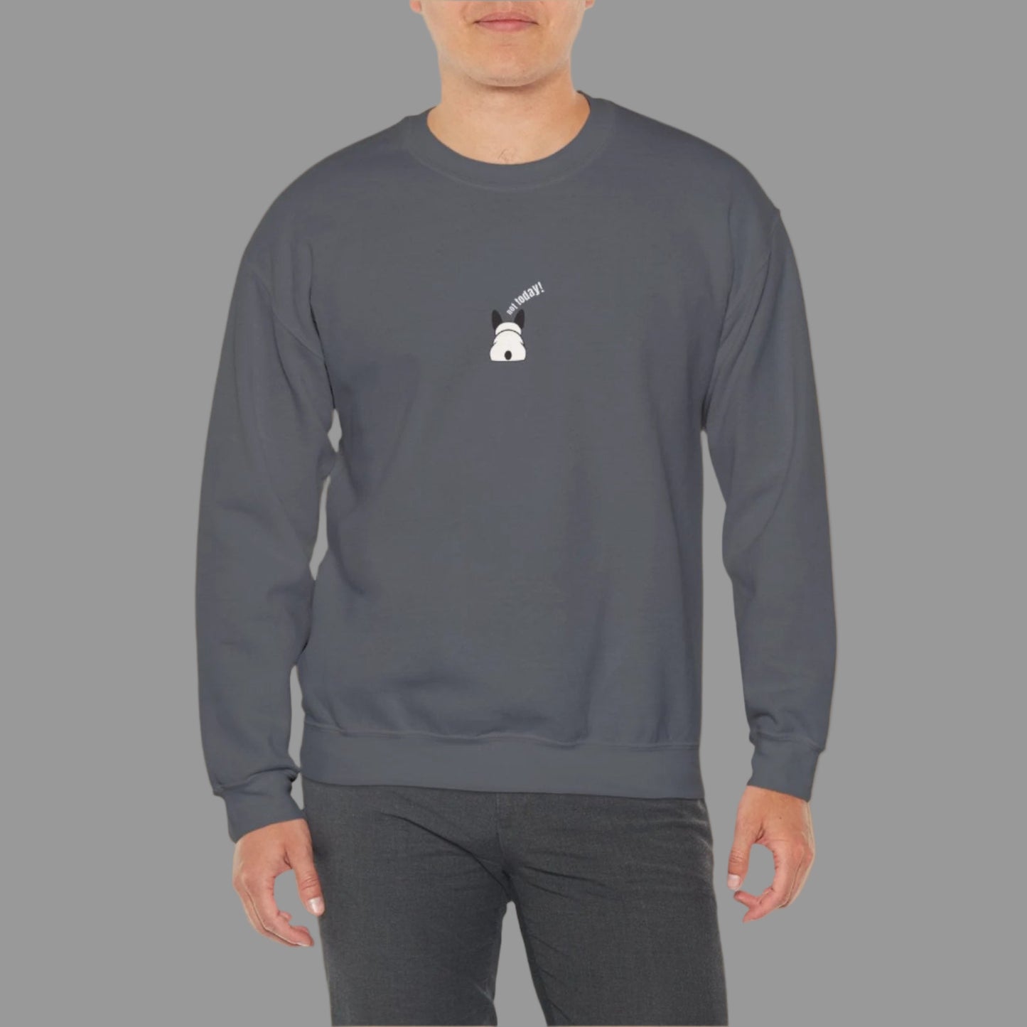 Man wearing a gray sweatshirt with a small graphic on a white background